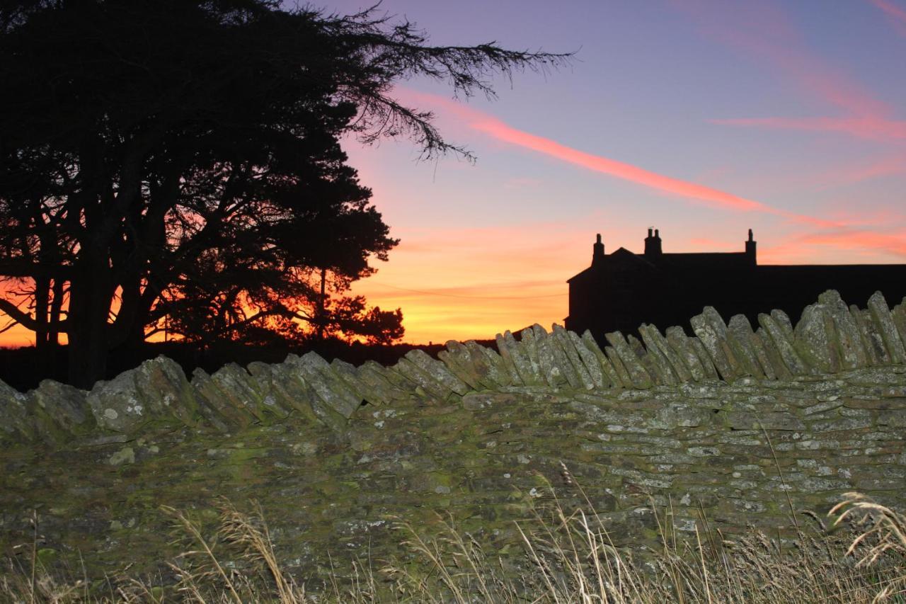 High Keenley Fell Farm Allendale Dış mekan fotoğraf
