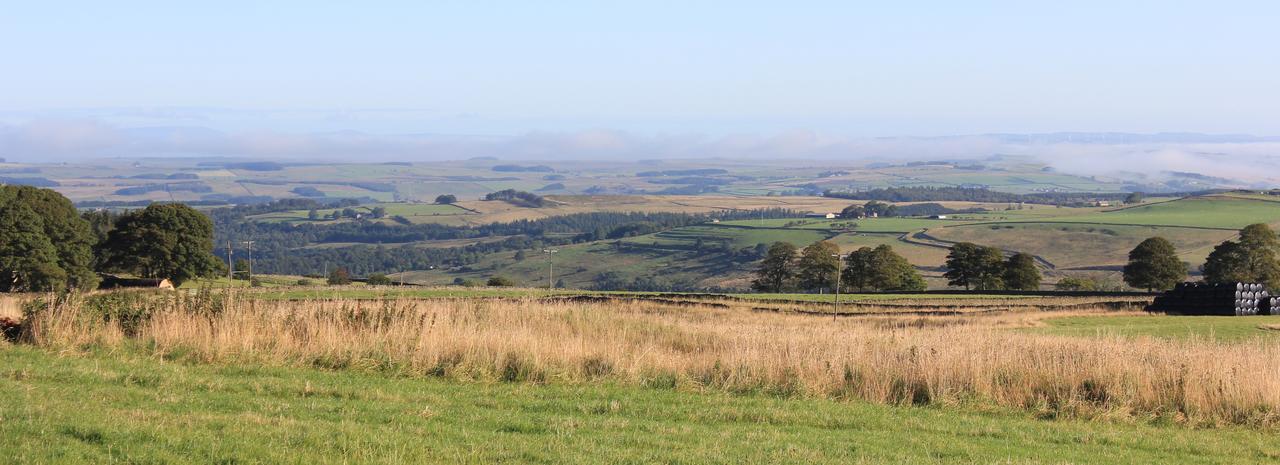 High Keenley Fell Farm Allendale Dış mekan fotoğraf