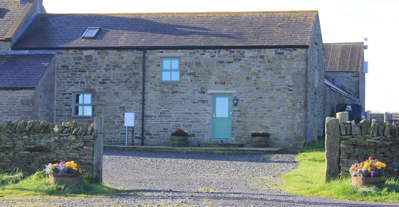 High Keenley Fell Farm Allendale Dış mekan fotoğraf